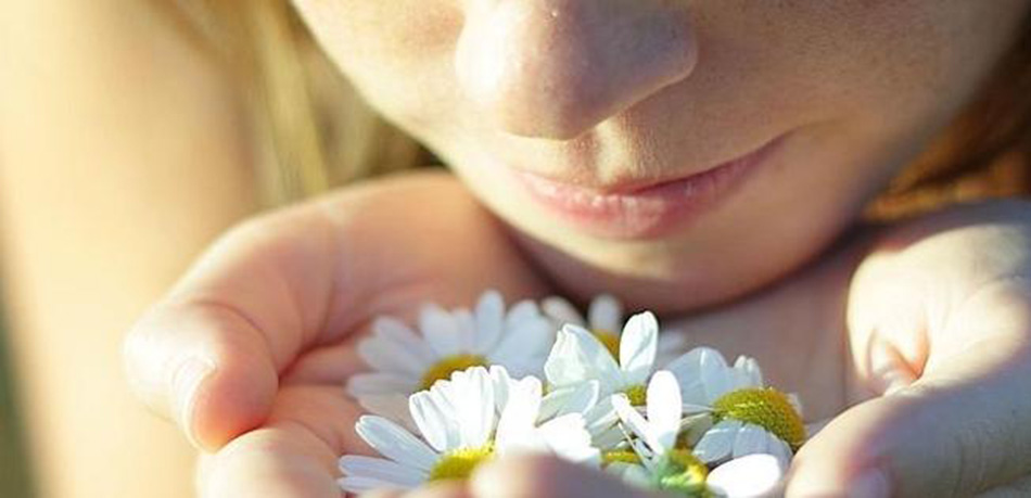 El Olfato: Aromas, Emociones y Conducta El Olfato: Aromas, Emociones y Conducta