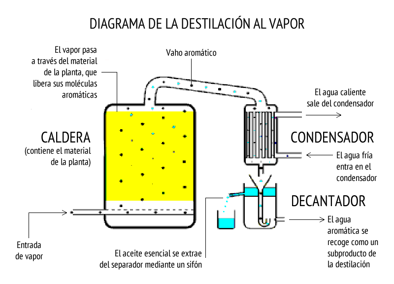 La Destilación por Arrastre con Vapor de Agua La Destilación por Arrastre con Vapor de Agua