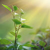 Curso de Energética de las Moléculas Aromáticas