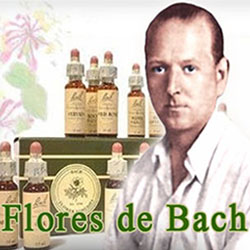 Bibliografía - Libros Recomendados de Flores de Bach