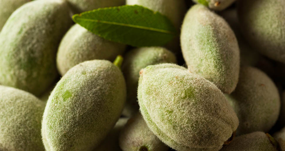 Aceite Vegetal dfe Almendra Dulce