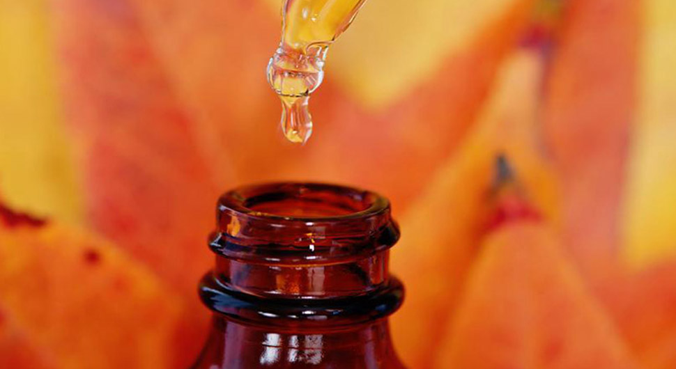 Hechos que deberías Conocer sobre los Aceites Esenciales