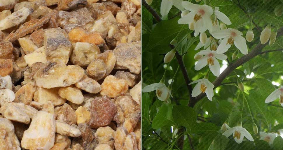 Aceite Esencial de Benjuí