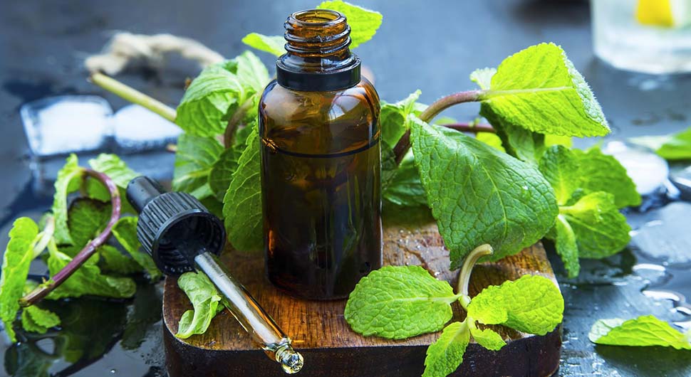 Cocinar con Aceites Esenciales: un Concentrado de Sabores