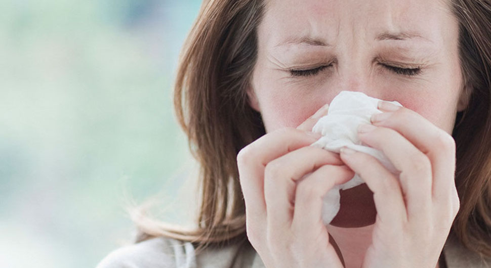 Cómo Combatir la Alergia con Aromaterapia