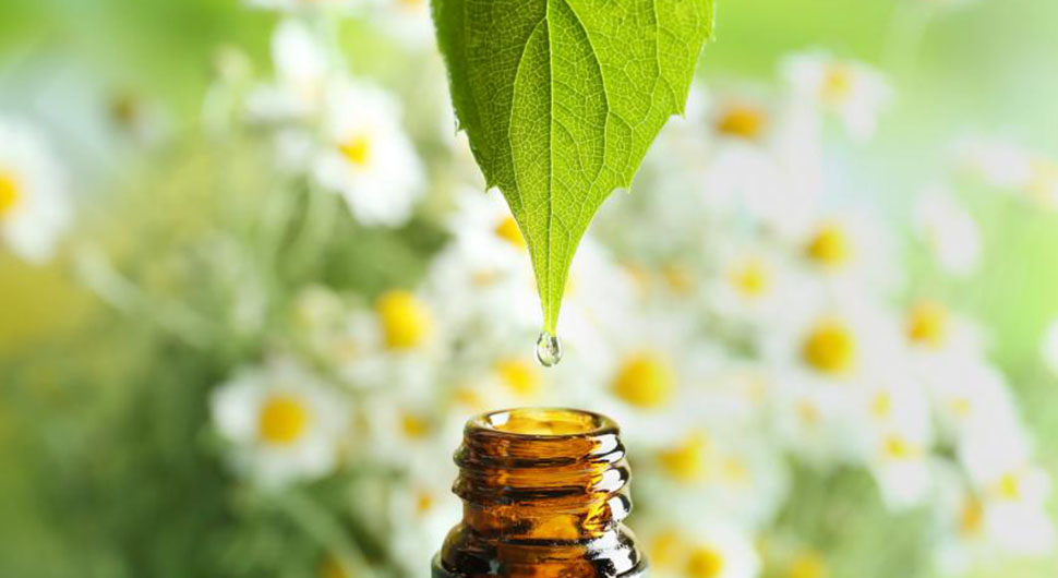 Olfatoterapia o los Beneficios de la Cualidad Vibratoria de los Aceites Esenciales