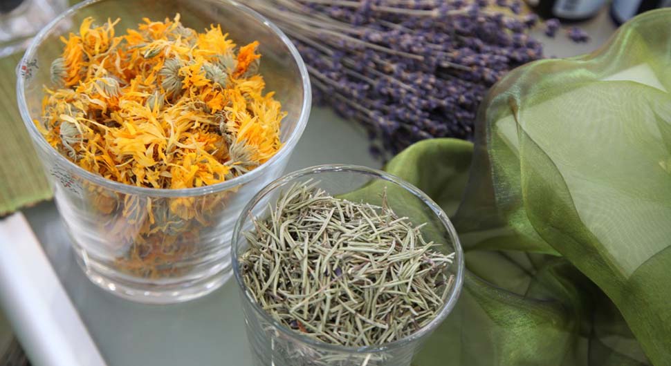 Faciales, Hierbas y otros Tratamientos Naturales