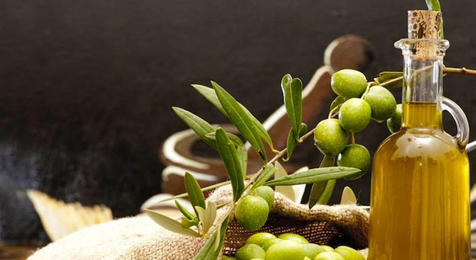Recetas de Cocina con Aceites Vegetales