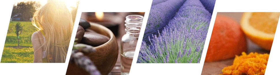 Meridianos & Aceites Esenciales