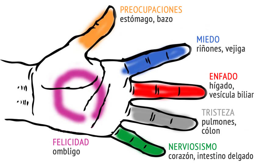 Meridianos & Emociones