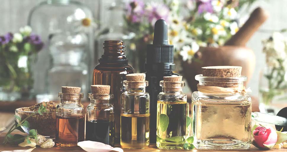 Otros Aceites Vegetales Portadores