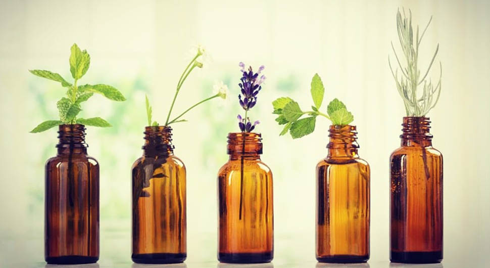 Clasificación de las Propiedades Terapéuticas de los Aceites Esenciales