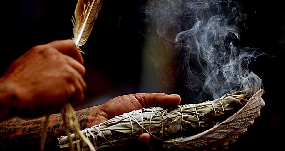 Plantas Medicinales: Espiritualidad a Través de las Plantas