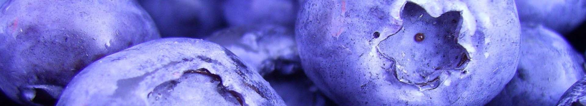 Sobre los Aceites Vegetales
